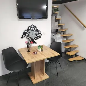 R.i.s.-rest In Siska Duplex Apartment Ljubljana